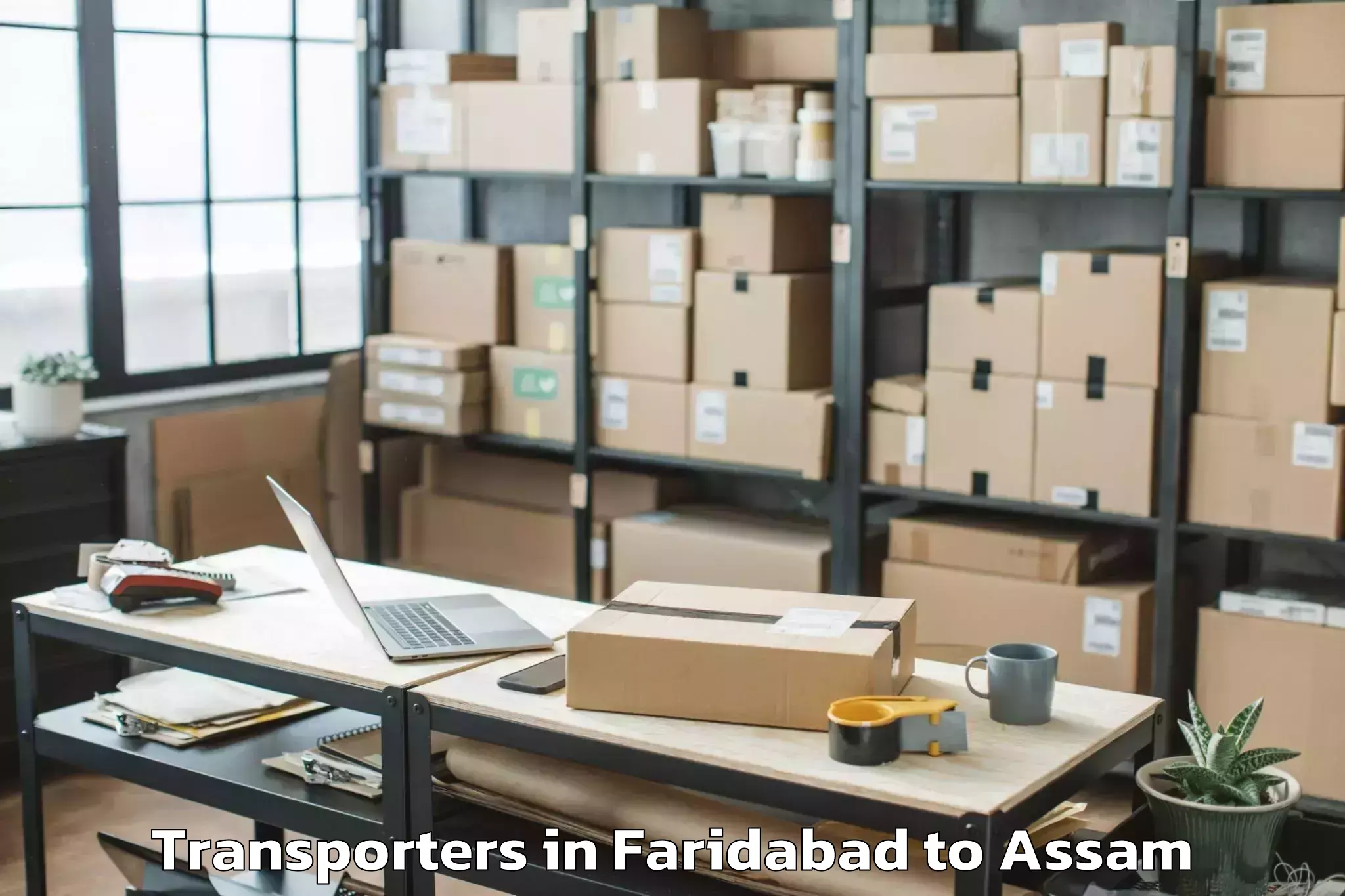 Book Faridabad to Sibsagar Transporters Online